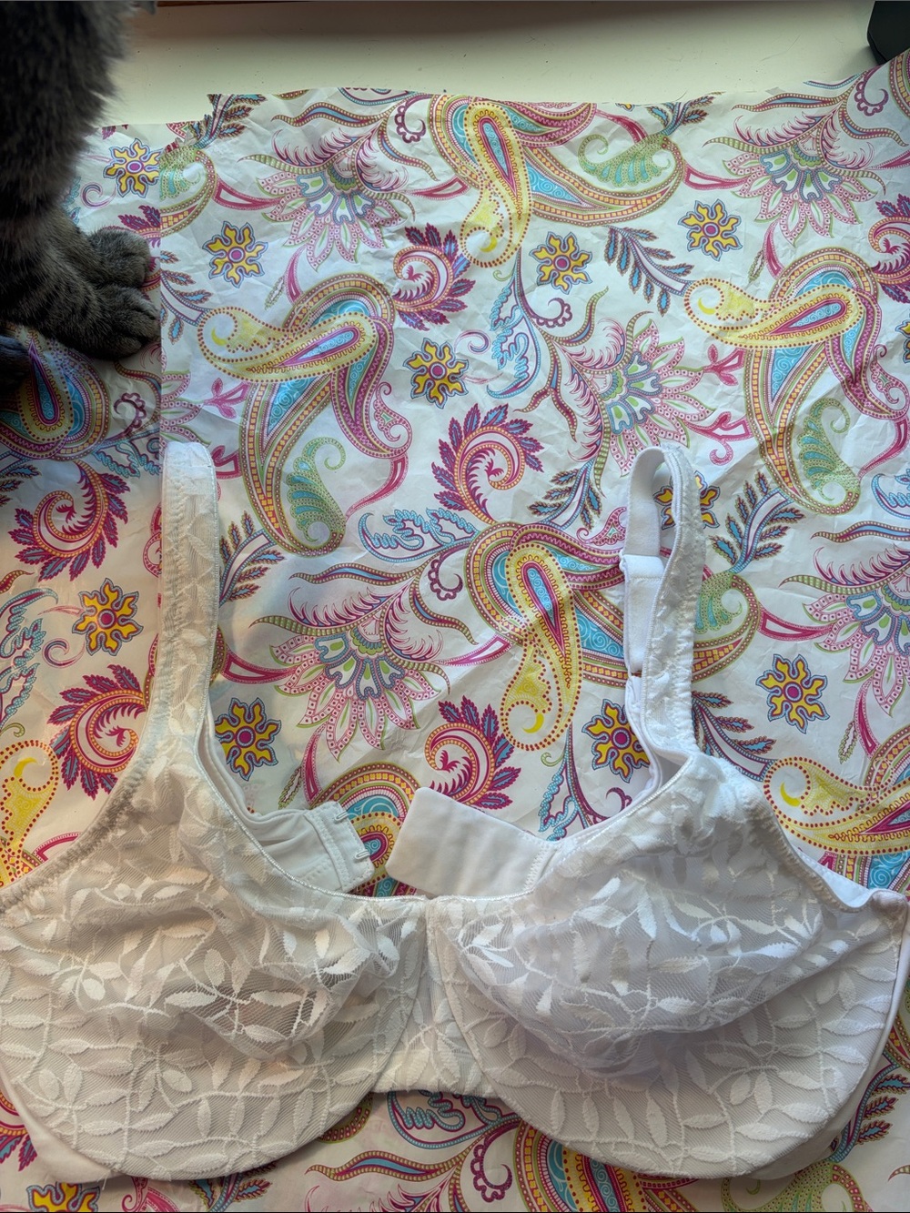 Olga Warners White Lace Underwire Bra with Supportive Cups 36D